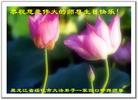 Published on 5/12/2011 ֹ,½󷨵Ӻʦ𻪵߷ִգ208أ - ִ
