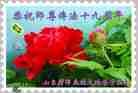 Published on 5/13/2012 ֹ,󷨵Ӻʦ𻪵߷ִ - ִ
