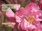 Published on 5/13/2012 ֹ,󷨵Ӻʦ𻪵߷ִ - ִ

