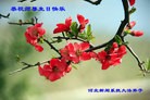 Published on 5/14/2012 ֹ,ҵ󷨵Ӻʦ𻪵߷ִ - ִ
