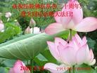 ֹ,½󷨵ӹףִ󷨺鴫ʮ꣨ - ִ
