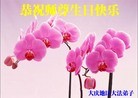 Published on 5/8/2012 ֹ,½󷨵ӹףִ󷨺鴫ʮ꣨ģ - ִ
