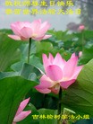Published on 5/8/2012 ֹ,½󷨵ӹףִ󷨺鴫ʮ꣨ģ - ִ
