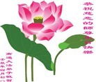 Published on 5/8/2012 ֹ,½󷨵ӹףִ󷨺鴫ʮ꣨ģ - ִ
