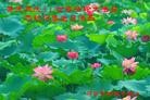 Published on 5/8/2012 ֹ,½󷨵ӹףִ󷨺鴫ʮ꣨ģ - ִ
