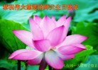 Published on 5/8/2012 ֹ,½󷨵ӹףִ󷨺鴫ʮ꣨ģ - ִ
