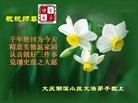 Published on 5/8/2012 ֹ,½󷨵ӹףִ󷨺鴫ʮ꣨ģ - ִ
