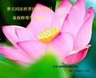 Published on 5/11/2012 ֹ,½󷨵ӹףִ󷨺鴫ʮ꣨壩 - ִ
