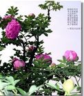 Published on 5/11/2012 ֹ,½󷨵ӹףִ󷨺鴫ʮ꣨壩 - ִ
