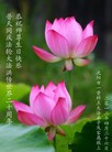 Published on 5/12/2012 ֹ,½󷨵ӹش󷨺鴫ʮ(151) - ִ
