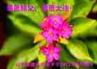 Published on 5/12/2012 ֹ,½󷨵ӹش󷨺鴫ʮ(151) - ִ
