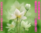 Published on 5/11/2012 ֹ,󷨵ӹطִ󷨺鴫ʮ - ִ
