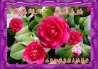 Published on 5/11/2012 ֹ,󷨵ӹطִ󷨺鴫ʮ - ִ
