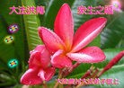 Published on 5/11/2012 ֹ,󷨵ӹطִ󷨺鴫ʮ - ִ
