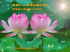 ֹ,󷨵ӹطִ󷨺鴫ʮ - ִ
