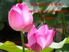 Published on 5/11/2012 ֹ,󷨵ӹطִ󷨺鴫ʮ - ִ
