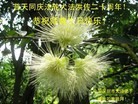Published on 5/11/2012 ֹ,ϵ󷨵ӹطִ󷨺鴫ʮ - ִ
