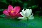 Published on 5/11/2012 ֹ,ϵ󷨵ӹطִ󷨺鴫ʮ - ִ
