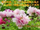 ֹ,󷨵Ӻʦ𻪵߷ִ - ִ
