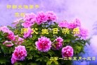 Published on 5/11/2012 ֹ,󷨵ӹطִ󷨺鴫ʮ - ִ
