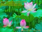 Published on 5/11/2012 ֹ,󷨵ӹطִ󷨺鴫ʮ - ִ
