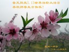 ֹ,󷨵ӹطִ󷨺鴫ʮ - ִ
