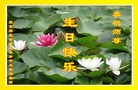 Published on 5/11/2012 ֹ,˾󷨵ӹطִ󷨺鴫ʮ - ִ
