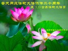 Published on 5/11/2012 ֹ,ϵ󷨵ӹطִ󷨺鴫ʮ - ִ
