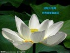 Published on 5/11/2012 ֹ,ϵ󷨵ӹطִ󷨺鴫ʮ - ִ
