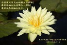 Published on 5/11/2012 ֹ,ϵ󷨵ӹطִ󷨺鴫ʮ - ִ
