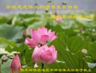 Published on 5/11/2012 ֹ,ҵ󷨵ӹطִ󷨺鴫ʮ - ִ
