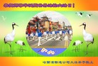 Published on 5/11/2012 ֹ,ҵ󷨵ӹطִ󷨺鴫ʮ - ִ
