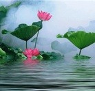 Published on 5/11/2012 ֹ,ϵ󷨵ӹطִ󷨺鴫ʮ - ִ
