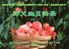Published on 5/11/2012 ֹ,ϵͳ󷨵ӹطִ󷨺鴫ʮ - ִ
