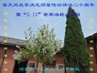 Published on 5/11/2012 ֹ,е󷨵ӹطִ󷨺鴫ʮ - ִ
