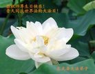 ֹ,󷨵Ӻʦ𻪵߷ִ - ִ
