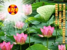 Published on 5/14/2012 ֹ,ҵ󷨵Ӻʦ𻪵߷ִ - ִ
