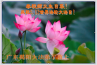 Published on 5/11/2012 ֹ,ϵ󷨵ӹطִ󷨺鴫ʮ - ִ
