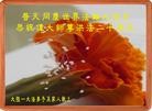 Published on 5/13/2012 ֹ,½󷨵ӹش󷨺鴫ʮ(139) - ִ
