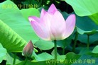 ֹ,󷨵ӹطִ󷨺鴫ʮ - ִ
