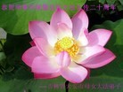 Published on 5/14/2012 ֹ,½󷨵Ӻʦ𻪵߷ִ(89) - ִ
