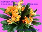 Published on 5/14/2012 ֹ,½󷨵Ӻʦ𻪵߷ִ(89) - ִ
