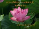 Published on 5/11/2012 ֹ,ҵ󷨵ӹطִ󷨺鴫ʮ - ִ
