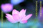 Published on 5/11/2012 ֹ,ϵ󷨵ӹطִ󷨺鴫ʮ - ִ
