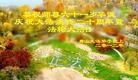 Published on 5/14/2012 ֹ,½󷨵Ӻʦ𻪵߷ִ(156) - ִ
