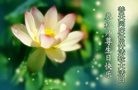 Published on 5/11/2012 ֹ,ϵ󷨵ӹطִ󷨺鴫ʮ - ִ
