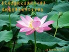 Published on 5/14/2012 ֹ,½󷨵Ӻʦ𻪵߷ִ(104) - ִ

