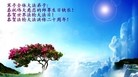 Published on 5/14/2012 ֹ,½󷨵Ӻʦ𻪵߷ִ(184) - ִ
