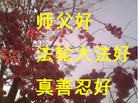 Published on 5/14/2012 ֹ,½󷨵Ӻʦ𻪵߷ִ(143) - ִ
