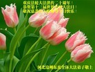 Published on 5/14/2012 ֹ,½󷨵Ӻʦ𻪵߷ִ(143) - ִ
